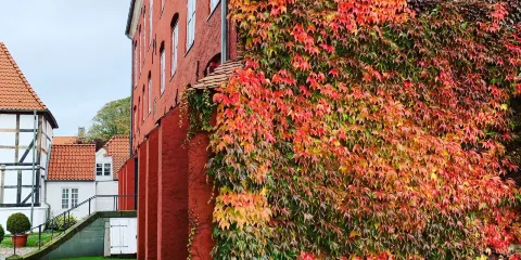 Stadtmuseum Schleswig