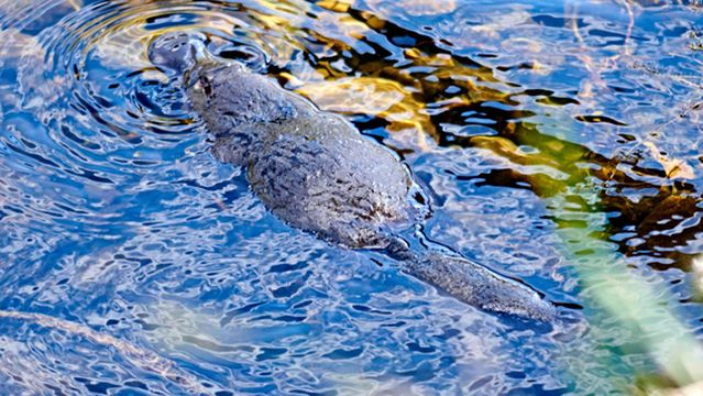 Wobbly Boot Vineyard - Wine and Vineyard Experiences