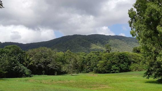 Парк Силвер Кресент