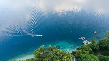 Freshwater Plantation - Aore Island