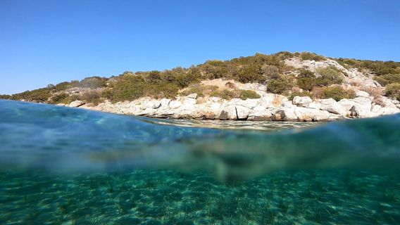 Kanelakis Diving Experiences