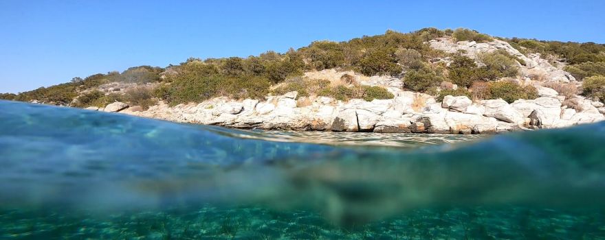 Kanelakis Diving Experiences