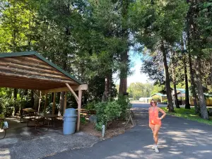 Willamette Fish Hatchery