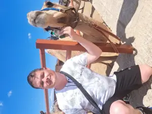 Camel Park Sunny Beach