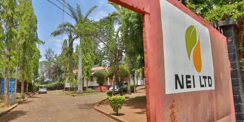 Natural Extracts Industries