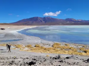 Uyuni White and Green