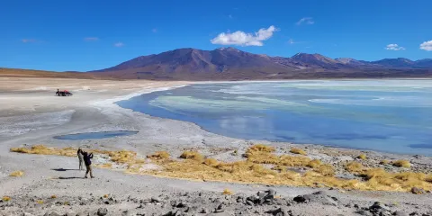 Uyuni White And Green Bolivia
