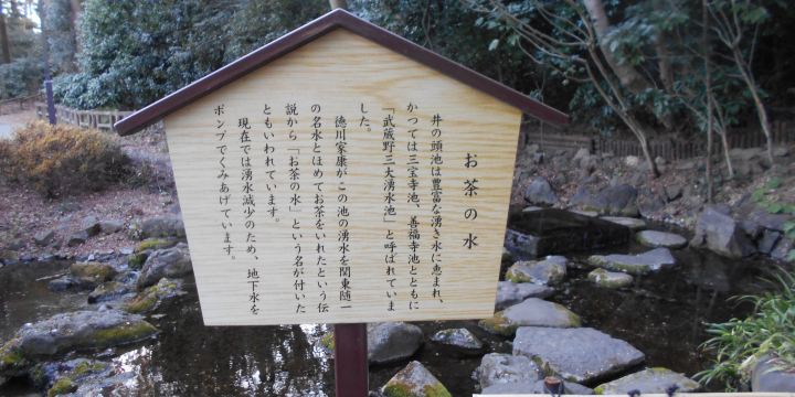 お茶の水