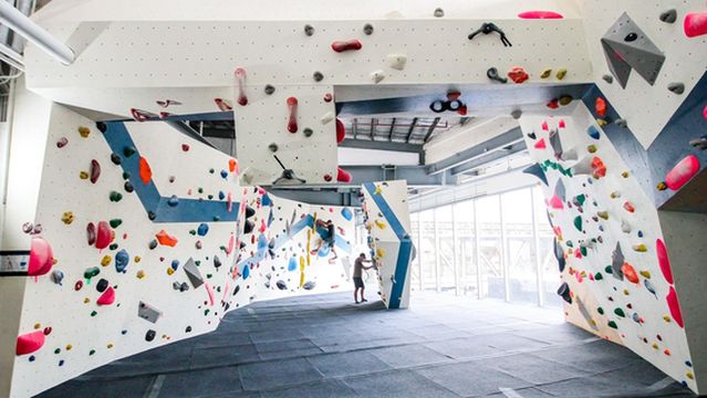 The Bouldering Hive Makati