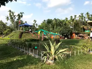 The Fun world