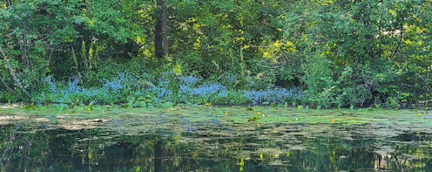 Townsend Flowage