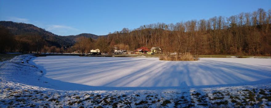 Ribiška družina Radlje ob Dravi