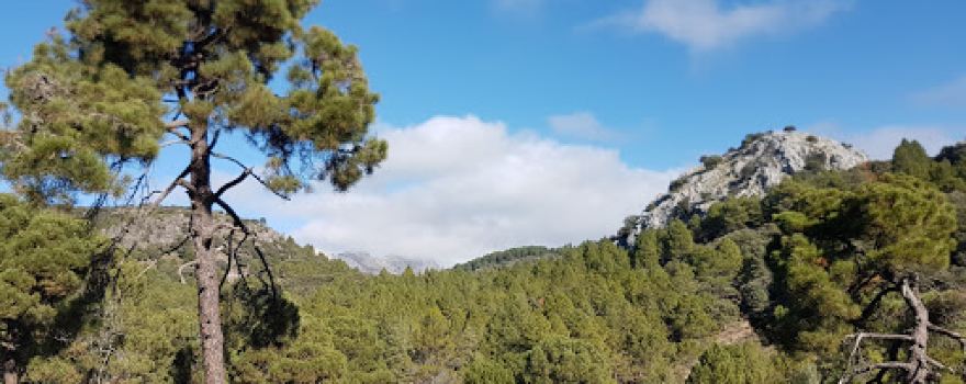 Fuente de la Teja