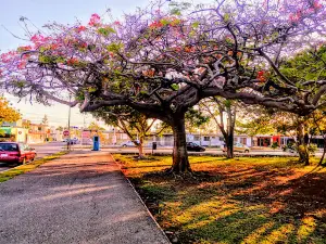 Parque de la Alemán