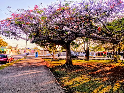 Parque de la Alemán