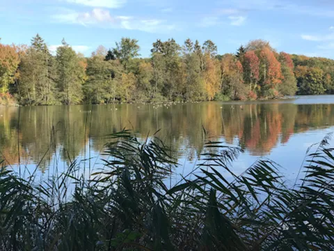 10 Top Attractions in Mlln (2026) | Trip.com