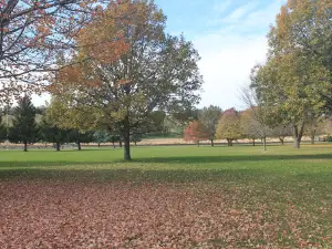 North Park Shelter