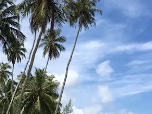 Pantai Bakongan Timur