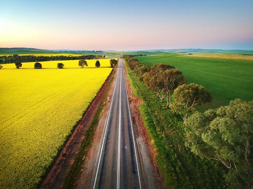 Arts Collective Clare Valley