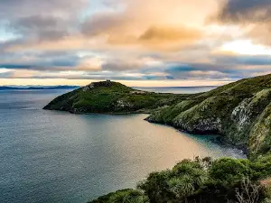 Taiaroa Head