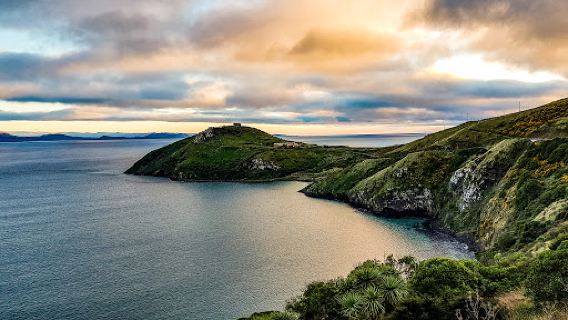 Taiaroa Head
