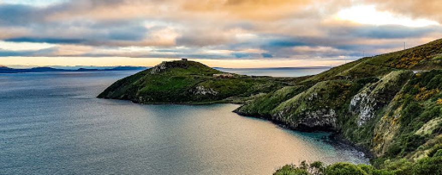 Taiaroa Head