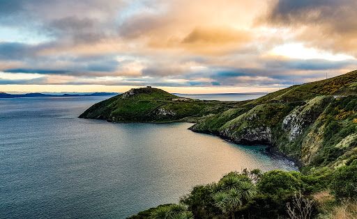 Taiaroa Head