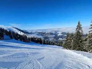 Hochkar & Ötscher Tourismus GmbH