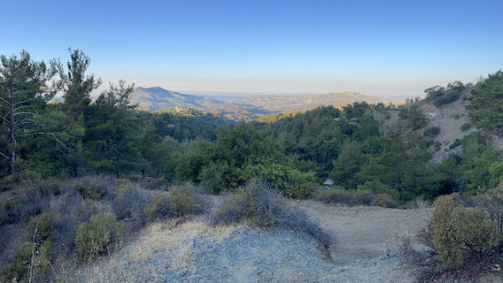 Nice view