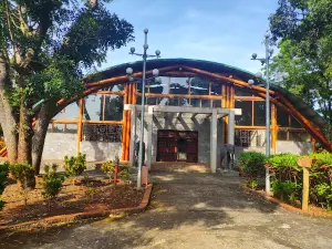 Di Tích Khảo Cổ Mộ Cự Thạch Hàng Gòn