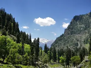 Park Umaro