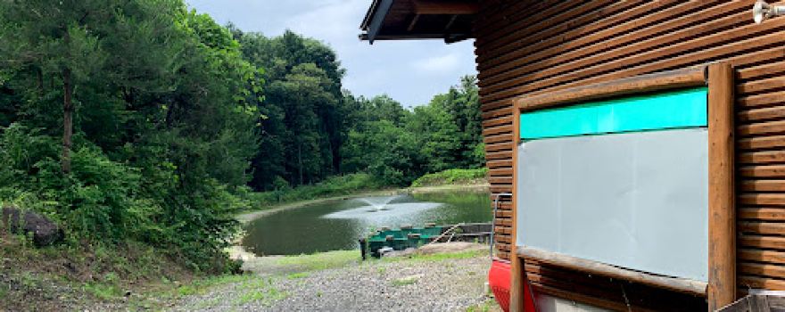 Gift Fishing Park
