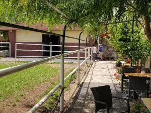 Truva Atlı Spor Kulübü