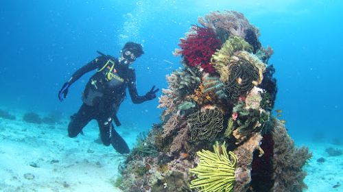 BRAVE DIVER RESORT ( 薄荷海妖潜水度假村 )