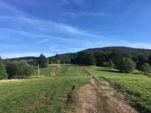Ski Mojtín