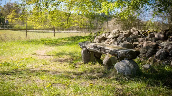Kirchenruine Domherrenhagen