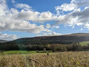 Cantref - Adventure Farm in South Wales