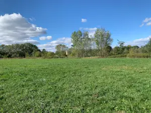 Stevens Point Dog Park