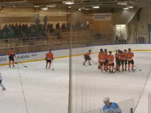 Ice rink Wareena