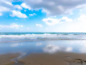砂浜美術館