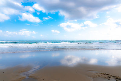 砂浜美術館