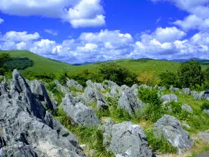Akiyoshidai Quasi-National Park