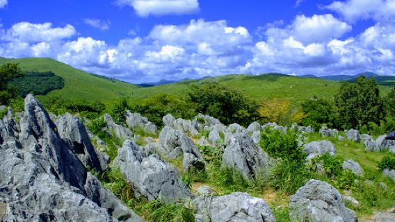 Akiyoshidai Quasi-National Park