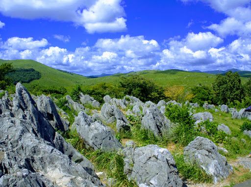 Akiyoshidai Quasi-National Park