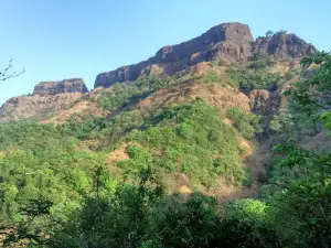 Manohar Mansantosh Gad