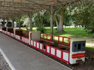 Mini Train des Marais