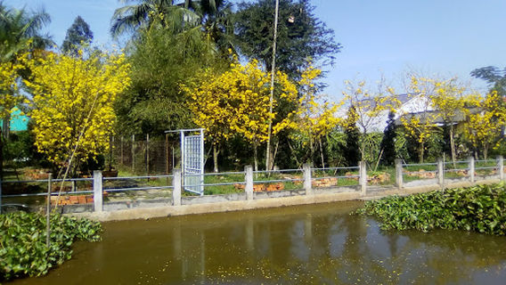 Son Thang Pagoda