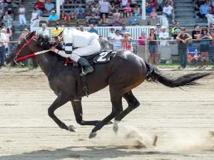 Van Wert County Fairgrounds / Van Wert County Agricultural Society