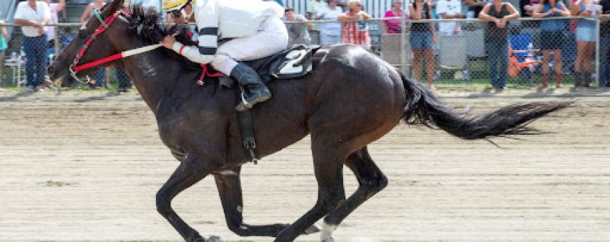Van Wert County Fairgrounds / Van Wert County Agricultural Society
