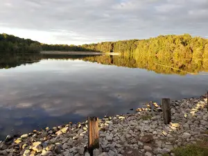Pine Lake Picnic Area
